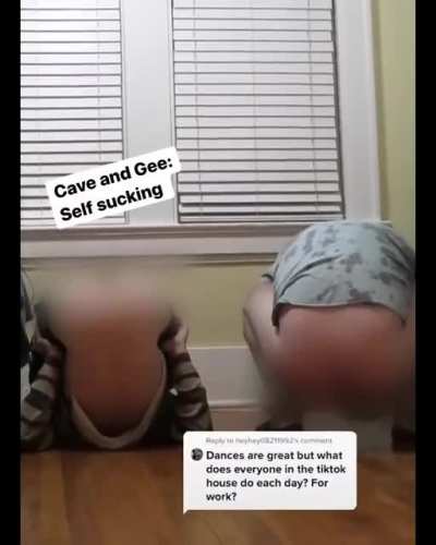 what tiktok "influencers" really be like