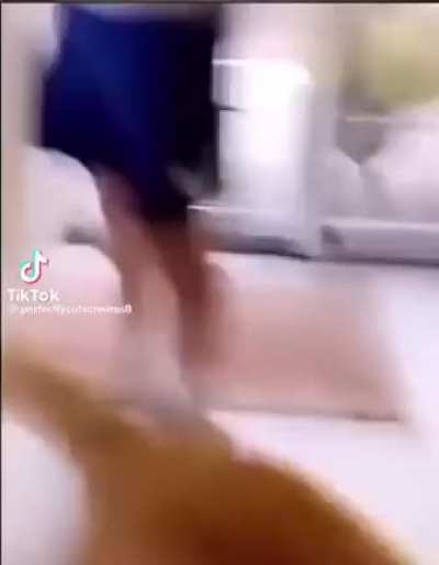o grito