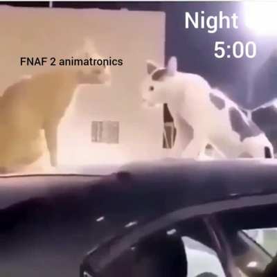 I'm trying to beat fnaf 2 night 6 plsssss