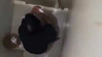 xd