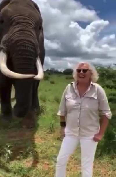 Elephant hiding a hat for a joke