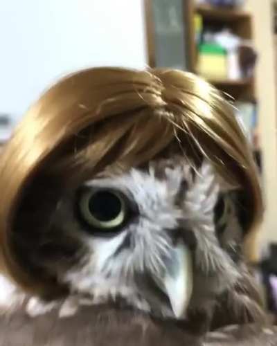 Sky Karen