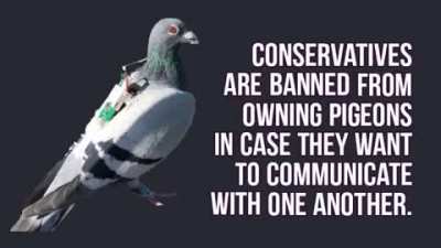 In the US the conservatives are being boxed in a corner...