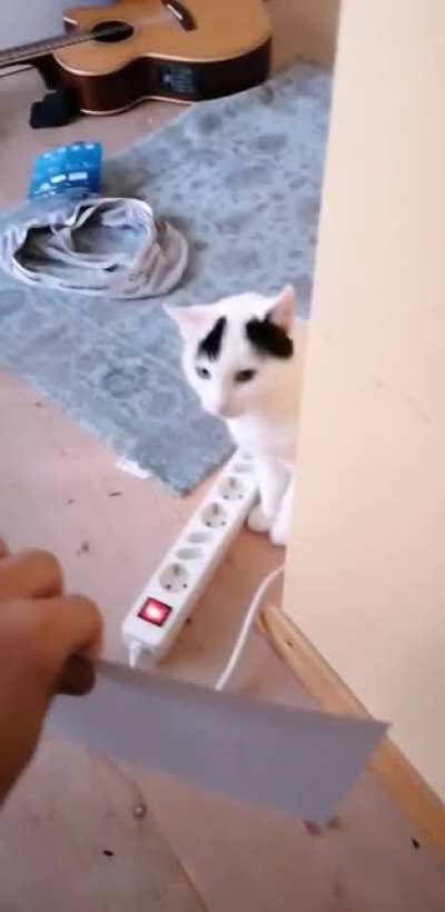 Oh FU-
