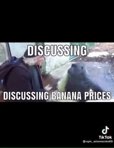Monkey won&rsquo;t let human scam him out of good price