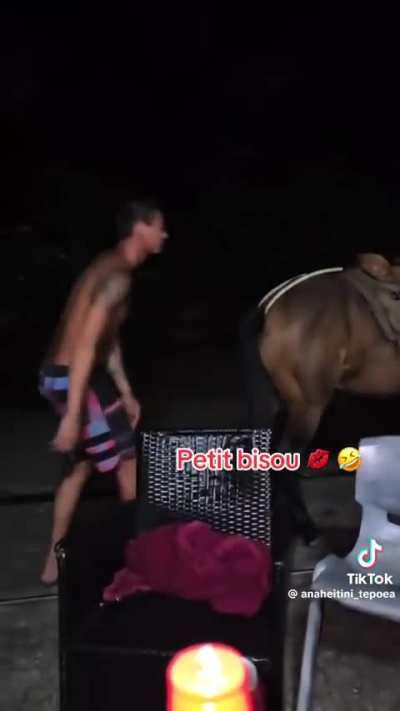 Has a horse