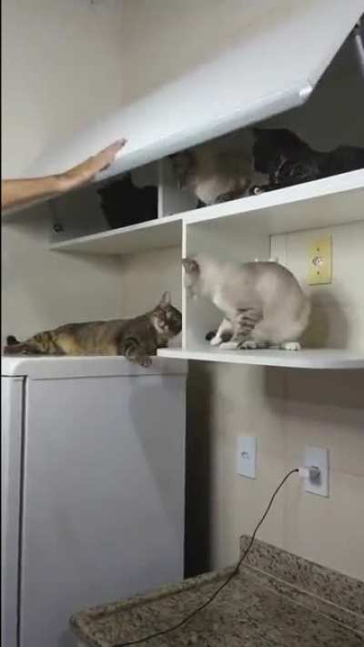 Maybe Maybe Maybe