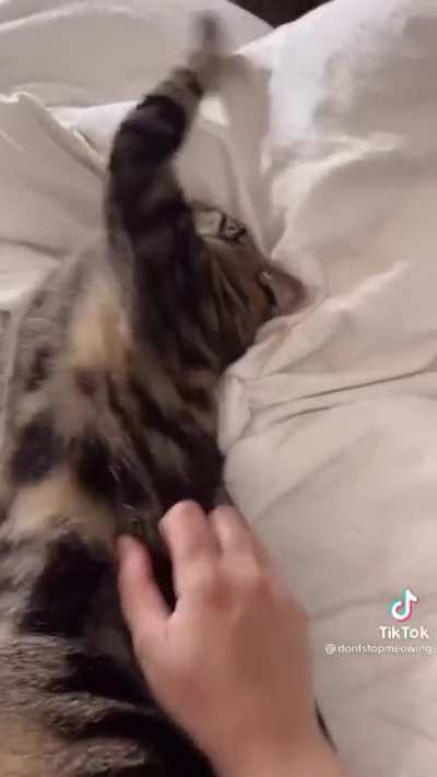 EeeeAAAAA&mdash;