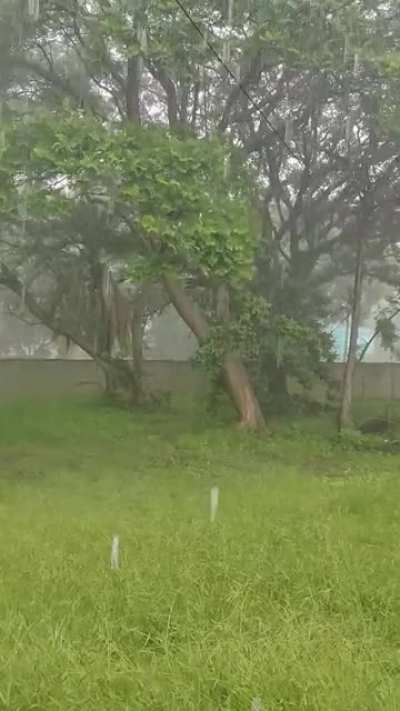 Zimbabwean Storm