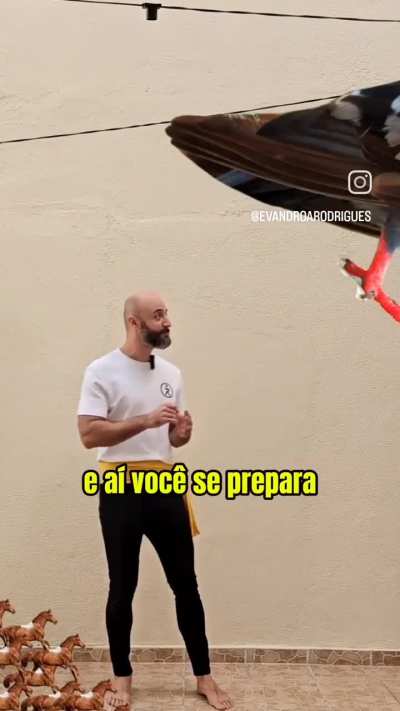 Argumento m&eacute;dio do Zitos