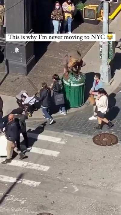 When people in New York being extremely weird