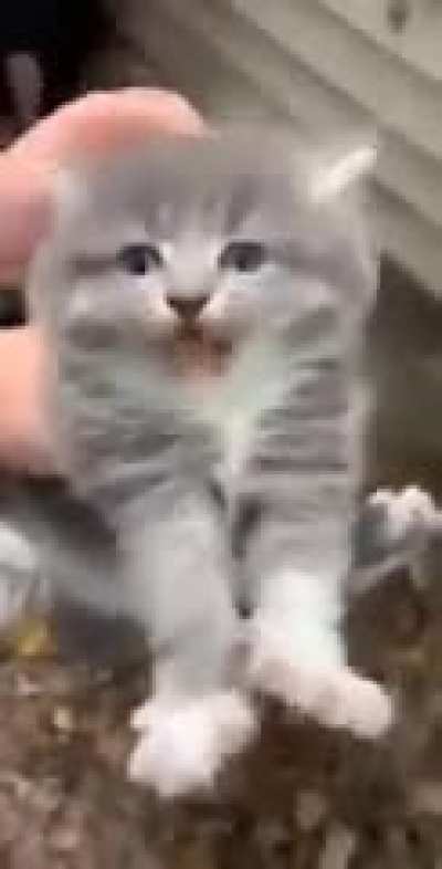 He's not happy