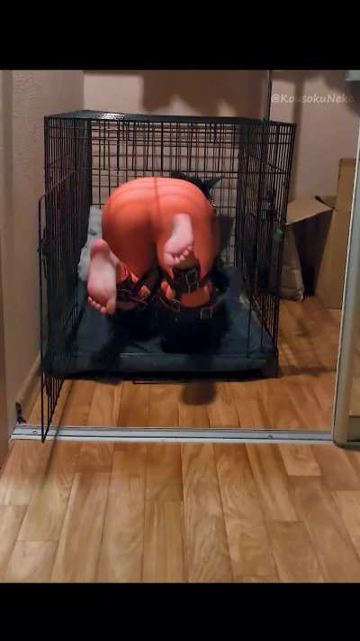 The strict owner locked his pet in a cage and didn’t care about her begging. How long will she last alone in the dark? [OC]