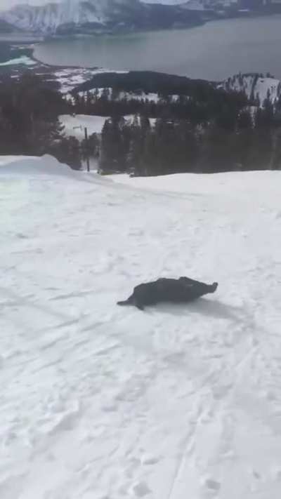 weeeeeeeeeeeeeeeee