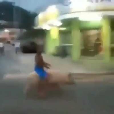 oia o porco