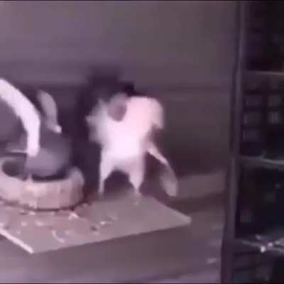 ( :