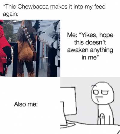 Not now Chewy, I&rsquo;m working