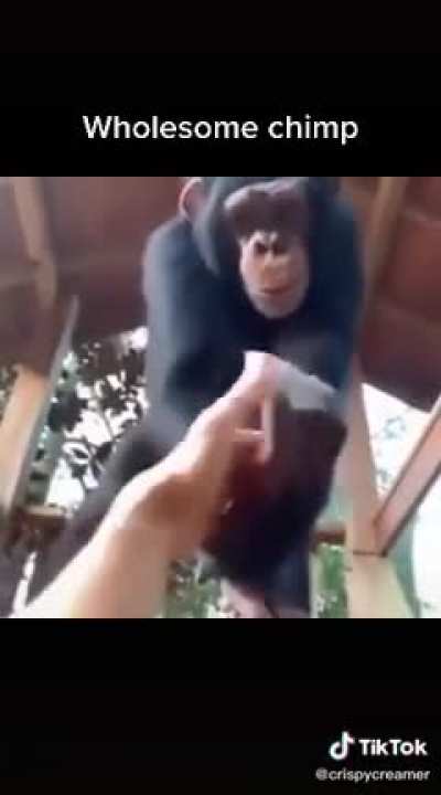 Monke