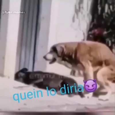 La snyder cut estuvo God