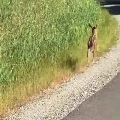 &ldquo;Hi. bye.&rdquo;