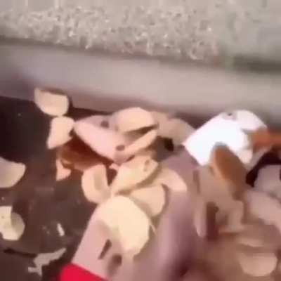 You want some bread