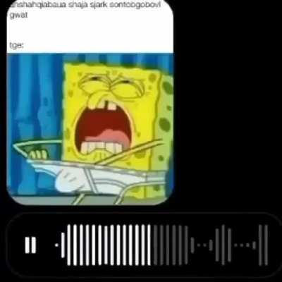 the 🗣️🗣️