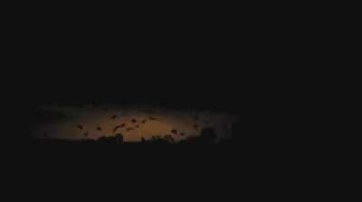 The Witching hour