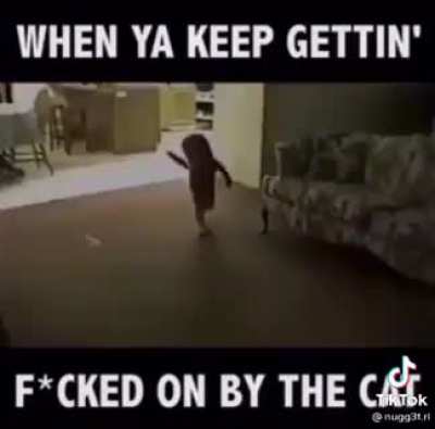 Getting fucked on by the cat