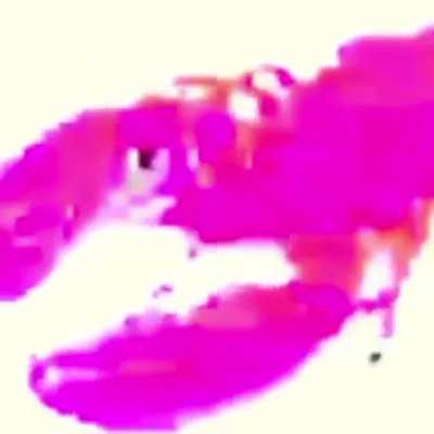 Lobseter