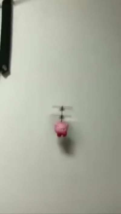 Guy plays with a kirby toy