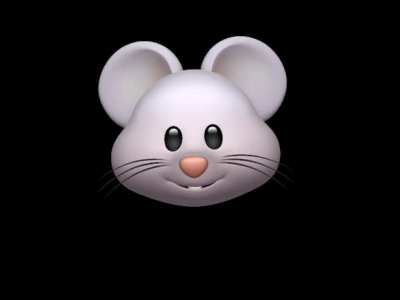 Stupid fucking rat