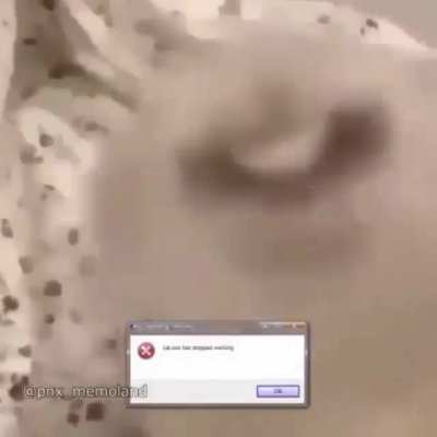 Guys I think I crashed my cat