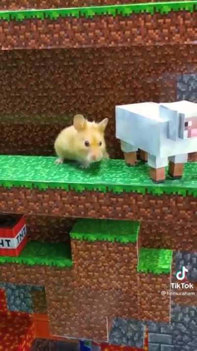 H&aacute;mster en minecraft :D *video para alegrar*