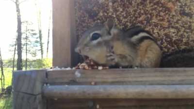 Caught Stealing