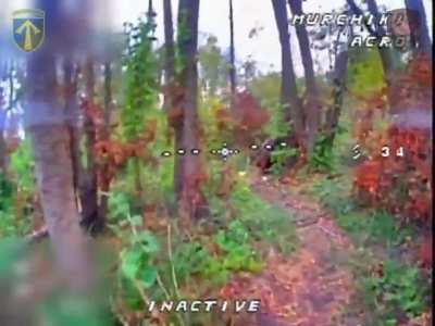 Ukrainian fiber-optic FPV drones of the "Falcons" UAV Battalion of the 57th Motorized Rifle Brigade took out multiple Russian soldiers in the Vovchansk direction. October 2025, published 28.10.2025