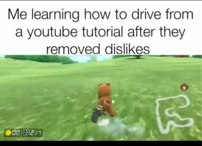 Bring back dislikes
