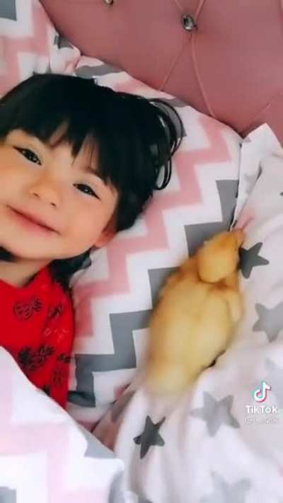 must have my pet duck