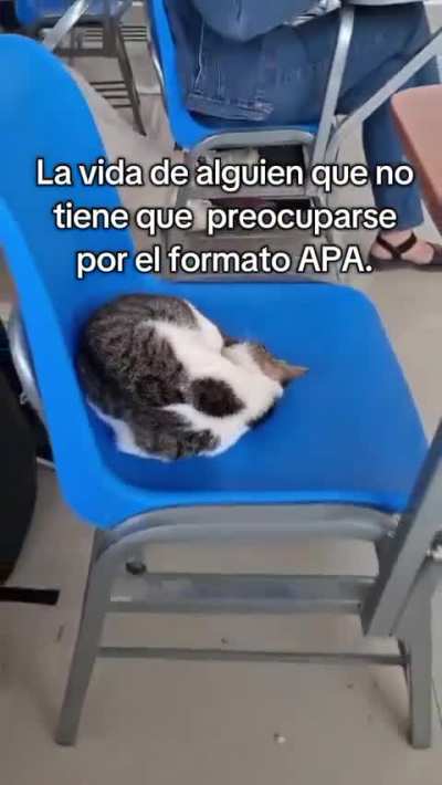 Vida de ensueño