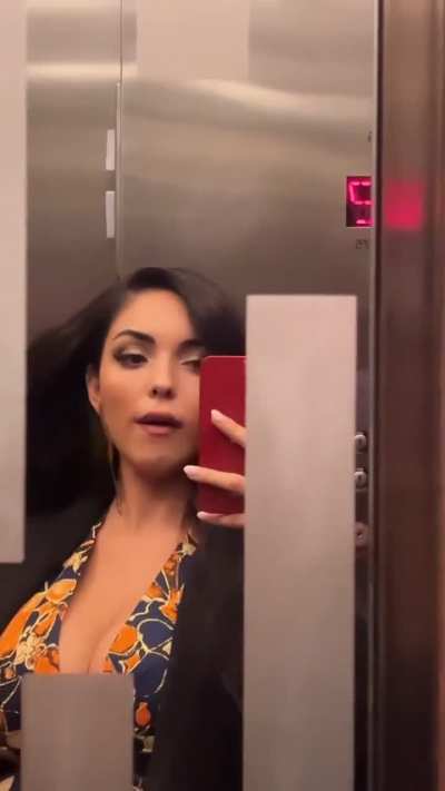 Elevator Self-<wbr>Admir<wbr>ation