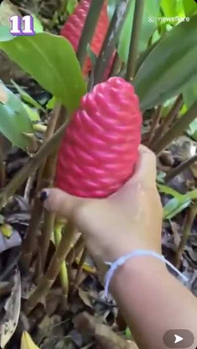 What in god’s name is this