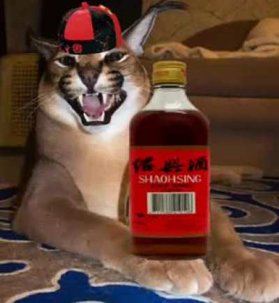 新说唱歌手