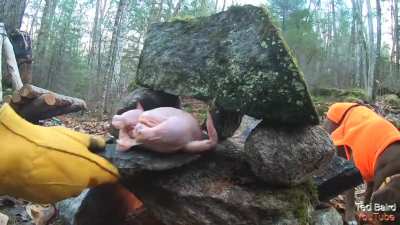 Stone &amp;amp; Rock Oven - Baking Cornish Hen