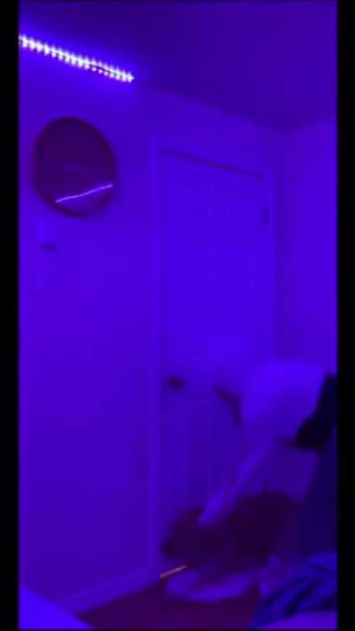 Corie watson made a tik tok of her abusin g her dog