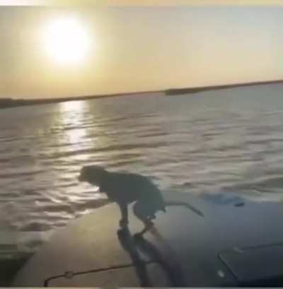 WCGW Filming a Sunset