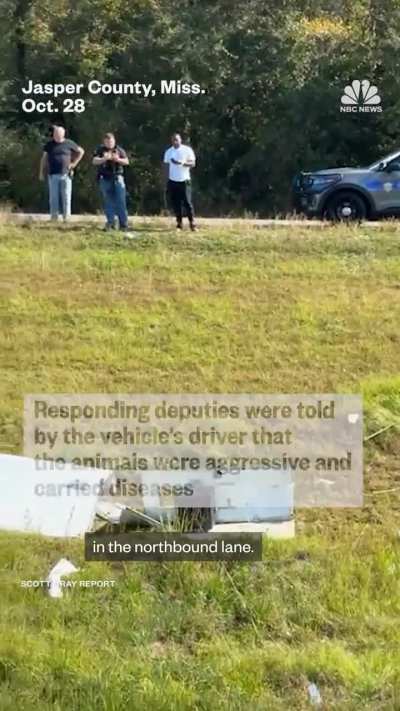 A truck transporting monkeys from Tulane University crashed in Mississippi