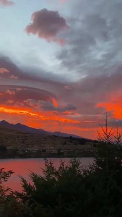 I was filming the sunrise in Queenstown, New Zealand this morning, and heard this unusual songbird (it&rsquo;s actually what woke me up to see the sunrise). I haven&rsquo;t heard its song before. Can anyone tell what it is?