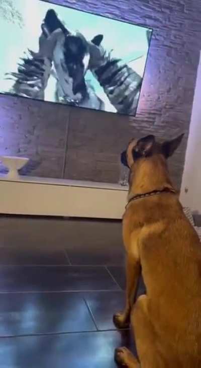 hmm