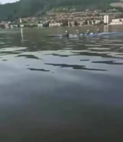 Out of anywhere that they could&acirc;ve went.