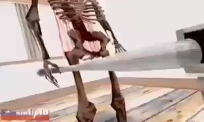 MAAU - Video #9406