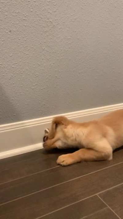 The evil door stoppers must pay...